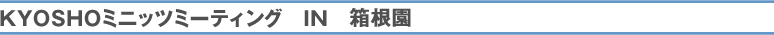 KYOSHOミニッツミーティング IN 箱根園