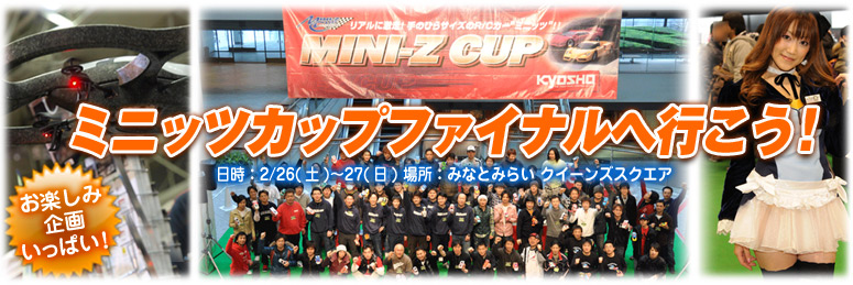 MINI-Z CUP FINAL 2010