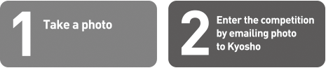 1. Take a photo 
                2. Enter the competition by emailing photo to Kyosho 