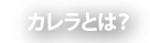 カレラとは？