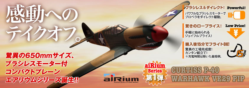 ւ̃eCNItB
Ђ̃RpNgv[ GAEV[YaII
aiRiumSeries1e/aiRium CURTISS P-40 WARHAWK PIP