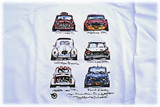 TVc MFSS 
